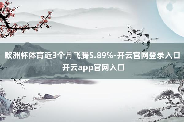 欧洲杯体育近3个月飞腾5.89%-开云官网登录入口 开云app官网入口