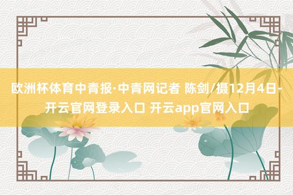 欧洲杯体育中青报·中青网记者 陈剑/摄12月4日-开云官网登录入口 开云app官网入口