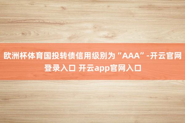 欧洲杯体育国投转债信用级别为“AAA”-开云官网登录入口 开云app官网入口